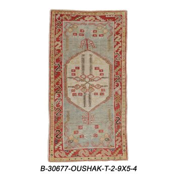 B-30677 OUSHAK / T