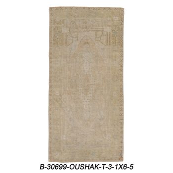 B-30699 OUSHAK / T