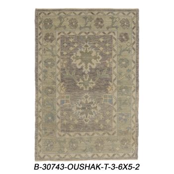 B-30743 OUSHAK / T