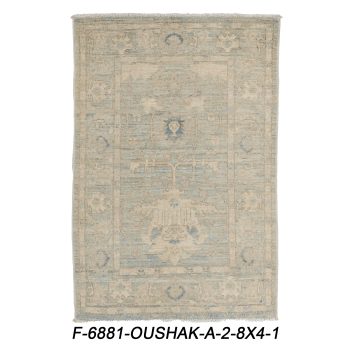 F-6881 OUSHAK / A