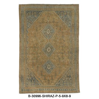 B-30996 SHIRAZ / P